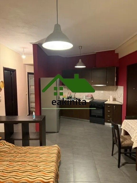 (Προς Ενοικίαση) Κατοικία Διαμέρισμα || Ν. Τρικάλων/Τρίκαλα - 47 τ.μ, 1 Υ/Δ, 450€ 