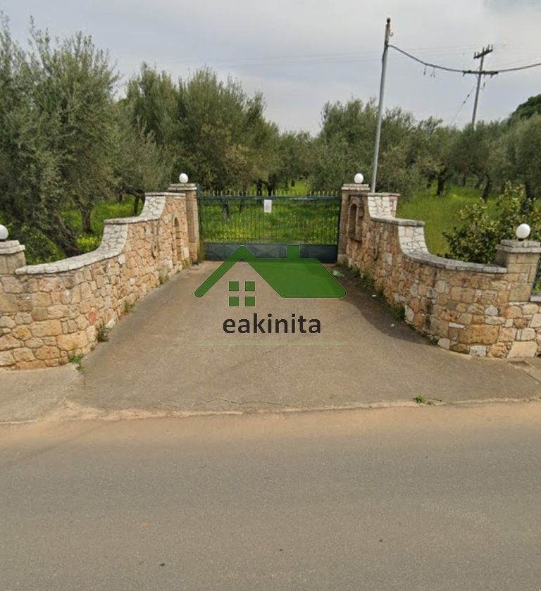 (For Sale) Land Agricultural Land  || Messinia/Messini - 5.500 Sq.m, 200.000€ 