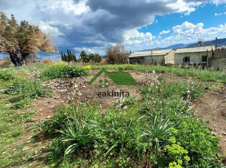 (For Sale) Land Plot out of City plans || East Attica/Pallini - 380 Sq.m, 65.000€ 
