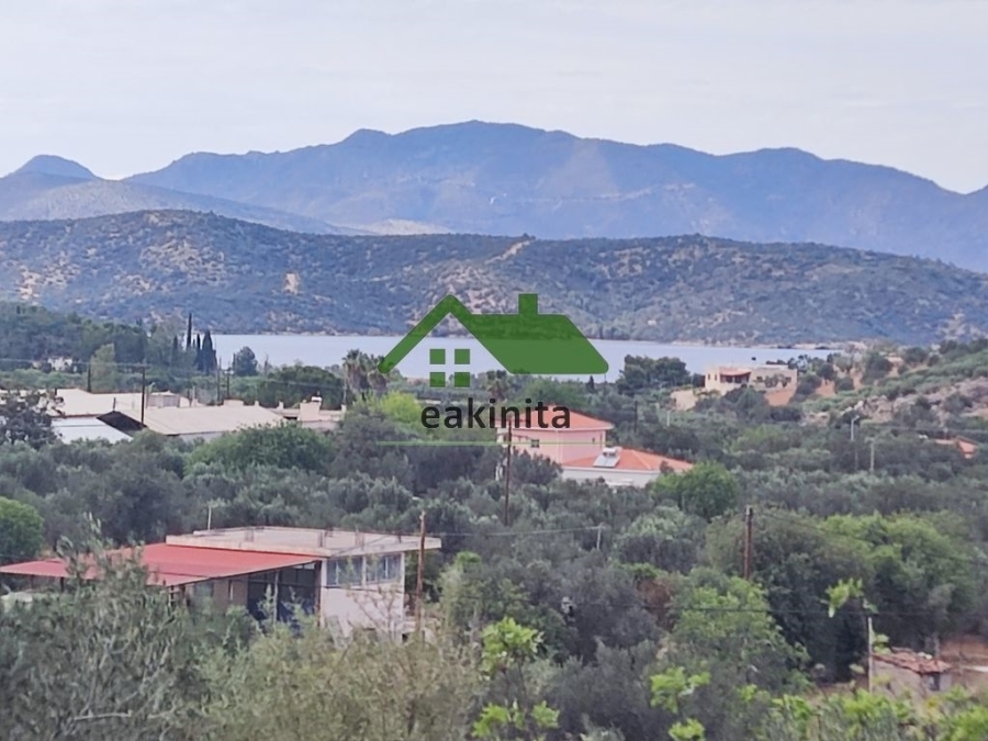(Προς Πώληση) Αξιοποιήσιμη Γη Αγροτεμάχιο || Πειραιάς/Τροιζηνία - 11.500 τ.μ, 120.000€ 