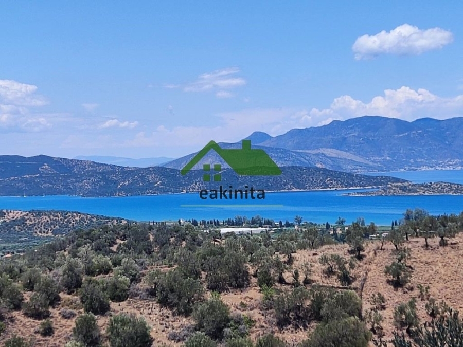 (Προς Πώληση) Αξιοποιήσιμη Γη Αγροτεμάχιο || Πειραιάς/Τροιζηνία - 14.490 τ.μ, 65.000€ 