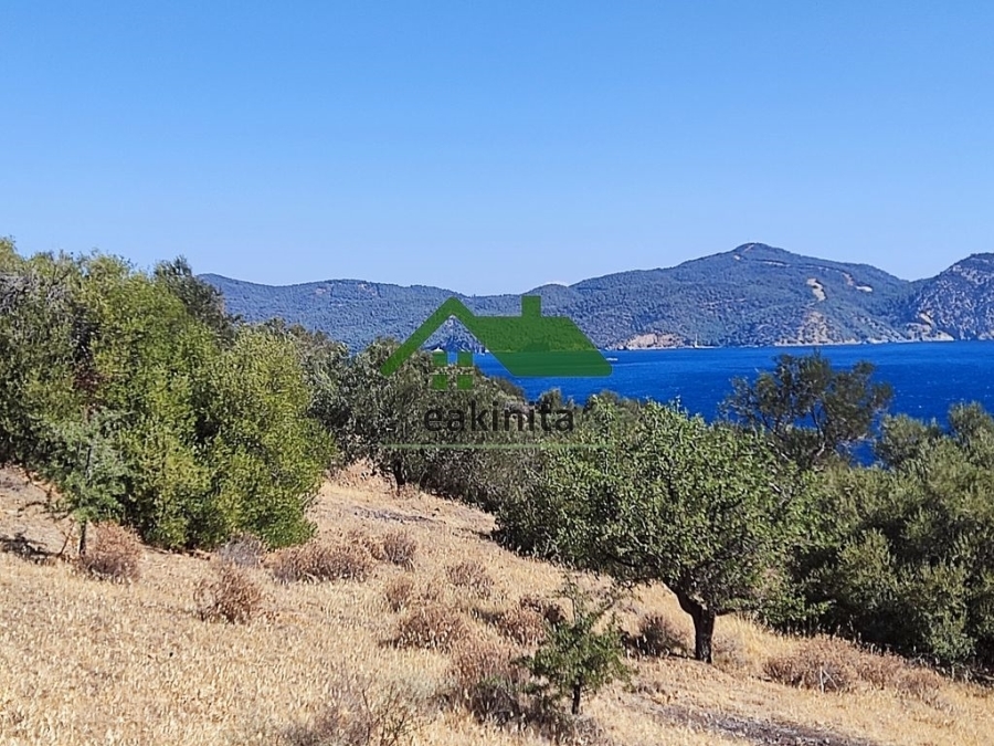 (Προς Πώληση) Αξιοποιήσιμη Γη Αγροτεμάχιο || Πειραιάς/Πόρος - 13.000 τ.μ, 160.000€ 