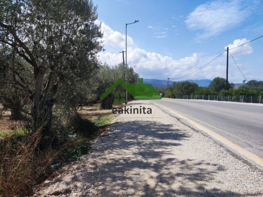 (Προς Πώληση) Αξιοποιήσιμη Γη Αγροτεμάχιο || Πειραιάς/Τροιζηνία - 4.700 τ.μ, 180.000€ 