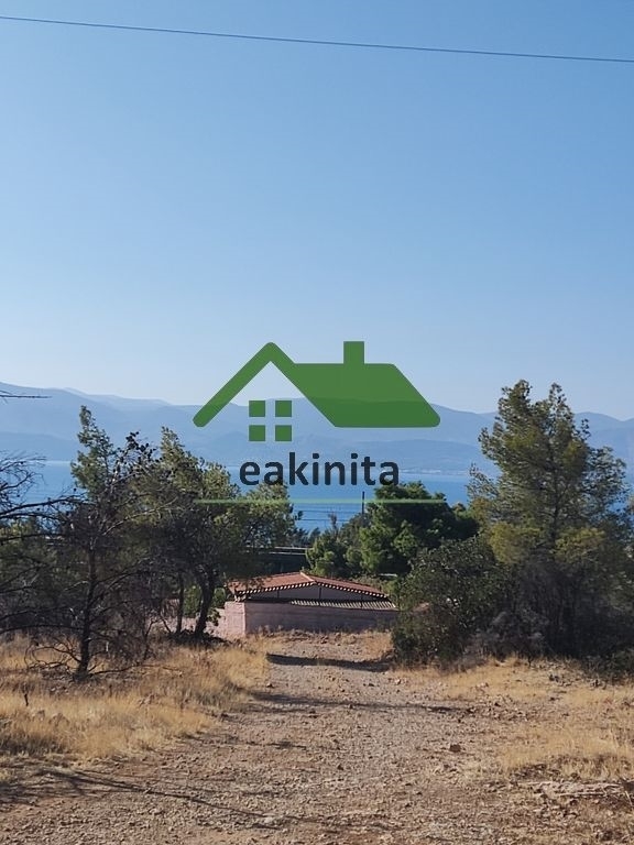 (Προς Πώληση) Αξιοποιήσιμη Γη Αγροτεμάχιο || Ν. Κορινθίας/Άγιοι Θεόδωροι - 4.020 τ.μ, 70.000€ 