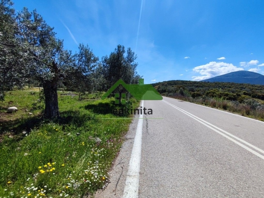 (For Sale) Land Agricultural Land  || Piraias/Troizinia - 8.000 Sq.m, 60.000€ 