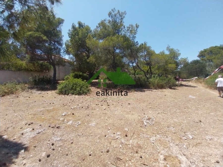 (Προς Πώληση) Αξιοποιήσιμη Γη Οικόπεδο || Ανατολική Αττική/Αρτέμιδα (Λούτσα) - 480 τ.μ, 110.000€ 