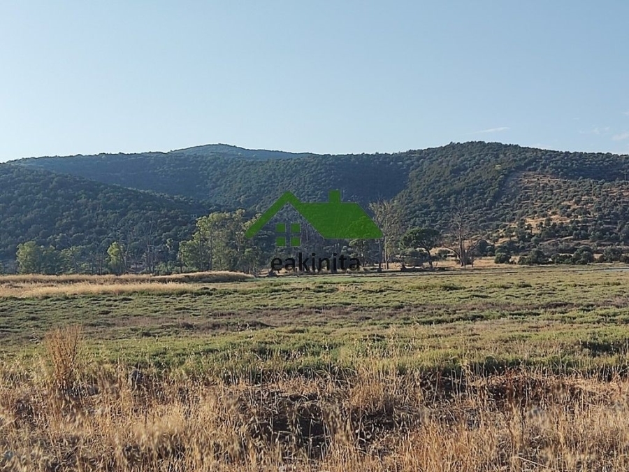 (Προς Πώληση) Αξιοποιήσιμη Γη Αγροτεμάχιο || Πειραιάς/Τροιζηνία - 8.000 τ.μ, 500.000€ 
