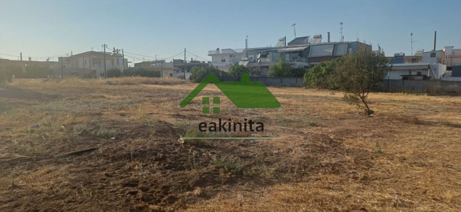 (For Sale) Land Plot || Korinthia/Korinthia - 360 Sq.m, 69.000€ 