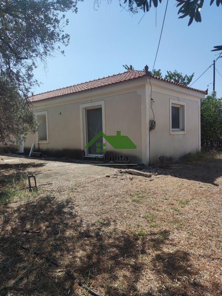 (For Sale) Land Large Land  || Piraias/Troizinia - 50.000 Sq.m, 1.600.000€ 