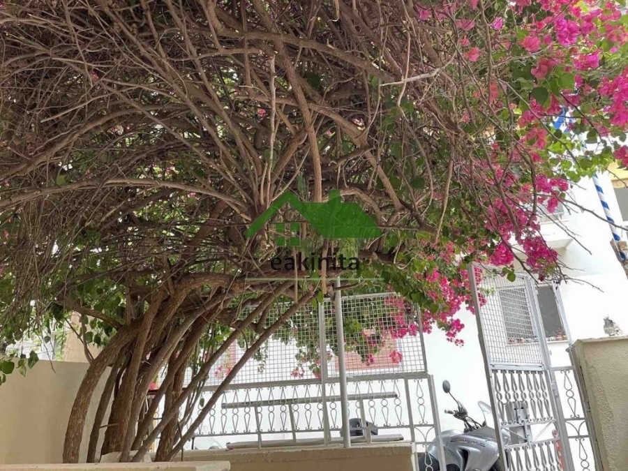 (Προς Ενοικίαση) Κατοικία Μονοκατοικία || Αθήνα Κέντρο/Ζωγράφος - 50 τ.μ, 1 Υ/Δ, 600€ 