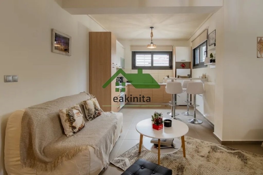 (Προς Ενοικίαση) Κατοικία Οροφοδιαμέρισμα || Ν. Τρικάλων/Τρίκαλα - 55 τ.μ, 1 Υ/Δ, 480€ 