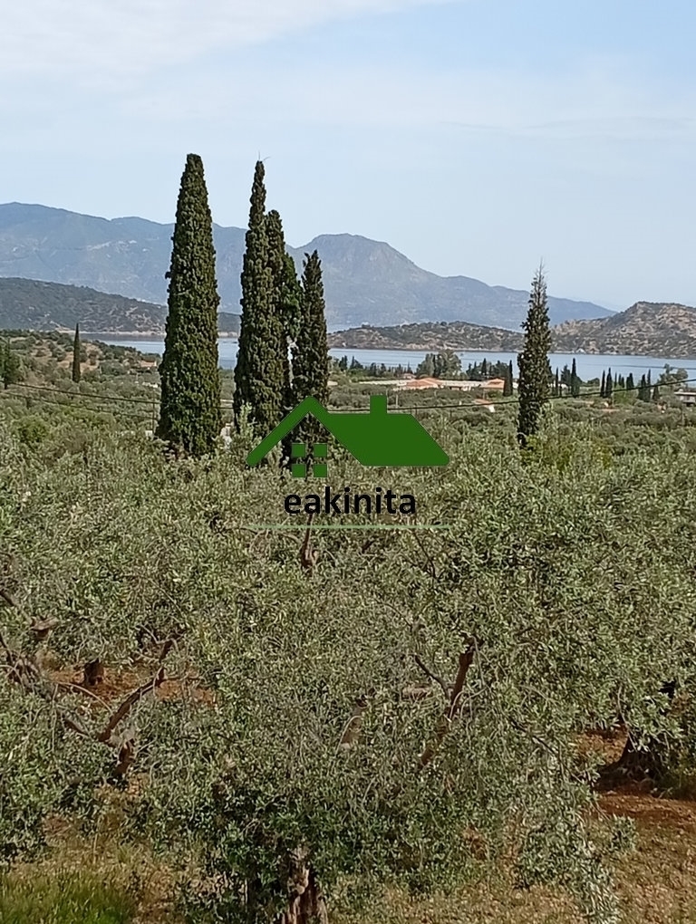 (Προς Πώληση) Αξιοποιήσιμη Γη Αγροτεμάχιο || Πειραιάς/Πόρος - 4.000 τ.μ, 120.000€ 