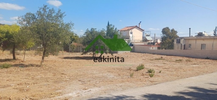 (Προς Πώληση) Αξιοποιήσιμη Γη Αγροτεμάχιο || Πειραιάς/Σαλαμίνα - 624 τ.μ, 30.000€ 